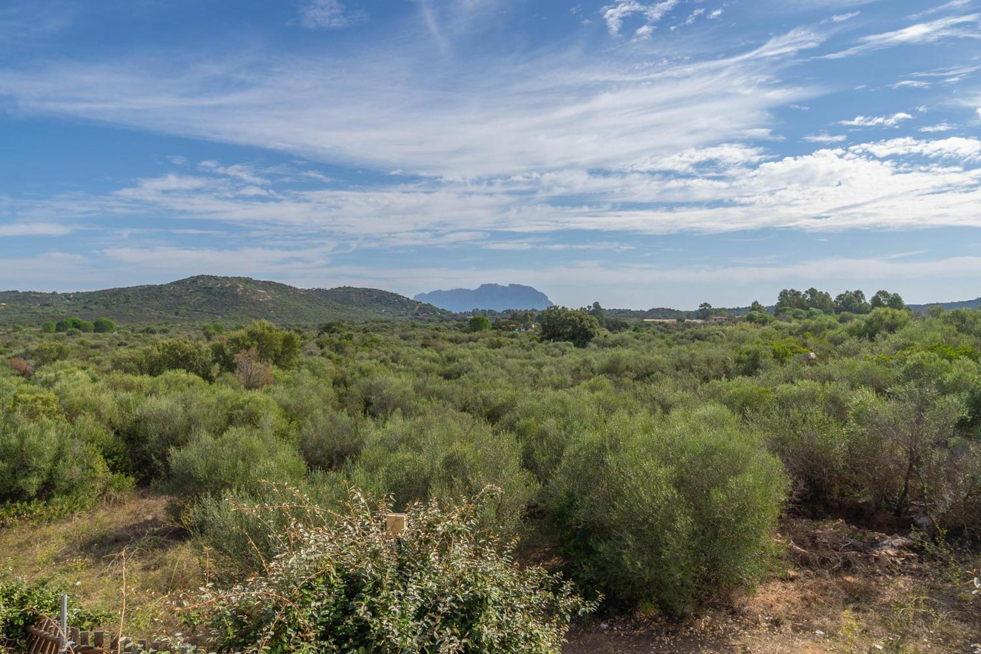 Voilier 28 By Domusaway Holiday home Olbia